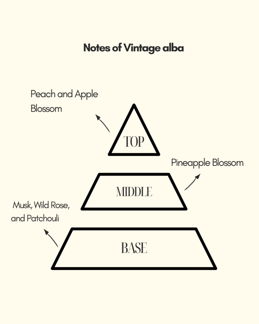 Vintage alba | Classic | Rose made muskyperfume | for both men and women perfumes - Image 4